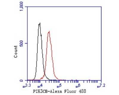 Flow Cytometry: PI 3-Kinase p110 beta/PIK3CB Antibody (SC0580) [NBP2-67579] - Flow cytometric analysis of PI 3-Kinase p110 beta/PIK3CB was done on Hela cells. The cells were fixed, permeabilized and stained with the primary antibody (1/50) (red). After incubation of the primary antibody at room temperature for an hour, the cells were stained with a Alexa Fluor 488-conjugated Goat anti-Rabbit IgG Secondary antibody at 1/1000 dilution for 30 minutes. Unlabeled sample was used as a control (cells without incubation with primary antibody; black).