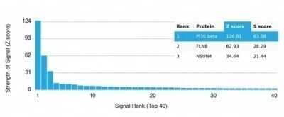 Protein Array: PI 3-Kinase p85 beta Antibody (PIK3R2/292) [NBP3-13735] - Analysis of Protein Array containing more than 19,000 full-length human proteins using PI 3-Kinase p85 beta Antibody (PIK3R2/292).