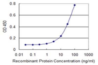 Sandwich ELISA: PI4K2A Antibody (3E1) [H00055361-M01] - Detection limit for recombinant GST tagged PI4K2A is 1 ng/ml as a capture antibody.
