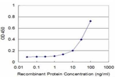 ELISA: PI4KB/PI4KIII beta Antibody (3B1) [H00005298-M02] - Detection limit for recombinant GST tagged PIK4CB is approximately 3ng/ml as a capture antibody.