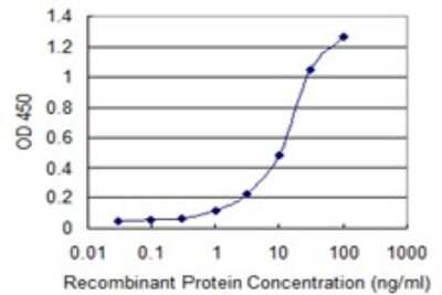 Sandwich ELISA: PICK1 Antibody (3G5) [H00009463-M01] - Detection limit for recombinant GST tagged PICK1 is 0.3 ng/ml as a capture antibody.