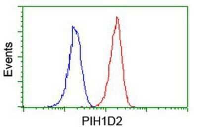 Flow Cytometry PIH1D2 Antibody (OTI4A10)