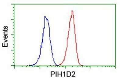 Flow Cytometry: PIH1D2 Antibody (OTI4A10) - Azide and BSA Free [NBP2-73403] - Analysis of Jurkat cells, using anti-PIH1D2 antibody, (Red), compared to a nonspecific negative control antibody (Blue).