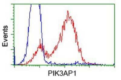 Flow Cytometry BCAP/PIK3AP1 Antibody (OTI7A11)