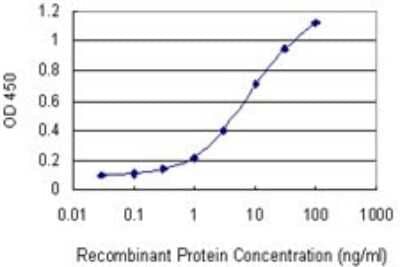 Sandwich ELISA: PIK3R3 Antibody (2F8) [H00008503-M02] - Detection limit for recombinant GST tagged PIK3R3 is 0.1 ng/ml as a capture antibody.