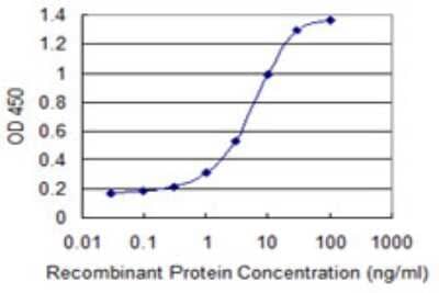 Sandwich ELISA: PIKFyve/PIP5K3 Antibody (1D11) [H00200576-M02] - Detection limit for recombinant GST tagged PIP5K3 is 0.1 ng/ml as a capture antibody.