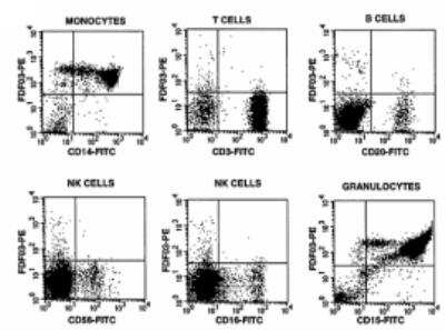 Flow Cytometry: PILR-alpha Antibody (36H2) [DDX0230P-100] - Surface FACS staining of human PBMC