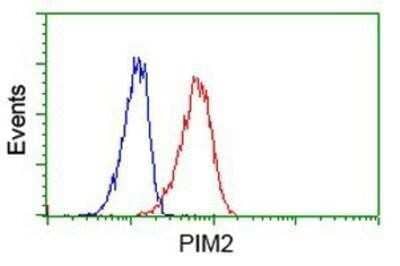 Flow Cytometry PIM2 Antibody (OTI5D5) - Azide and BSA Free