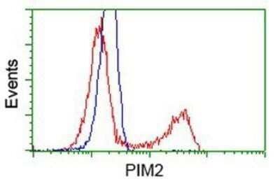 Flow Cytometry PIM2 Antibody (OTI5D5) - Azide and BSA Free