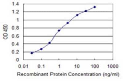 Sandwich ELISA: PIP5K2 gamma Antibody (3E10) [H00079837-M05] - Detection limit for recombinant GST tagged PIP4K2C is 0.03 ng/ml as a capture antibody.