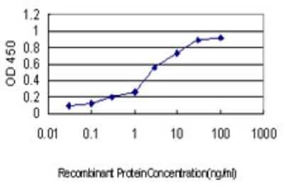 Sandwich ELISA: PIPPIN Antibody (2H8) [H00027254-M01] - Detection limit for recombinant GST tagged CSDC2 is approximately 0.1ng/ml as a capture antibody.