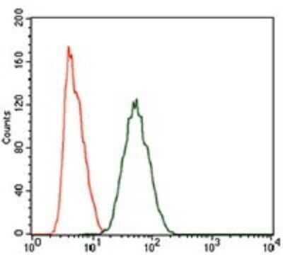 Flow Cytometry: PIWIL4 Antibody (10G9B11) [NBP2-37398] - Flow cytometric analysis of HeLa cells using PIWIL4 mouse mAb (green) and negative control (purple).