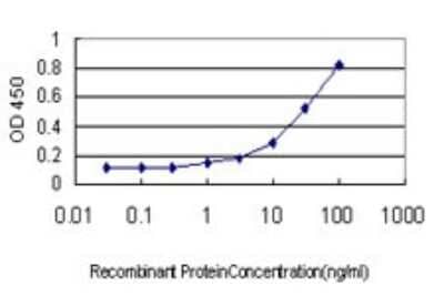 Sandwich ELISA: PKA C beta Antibody (2G8-1D12) [H00005567-M01] - Detection limit for recombinant GST tagged PRKACB is approximately 1ng/ml as a capture antibody.