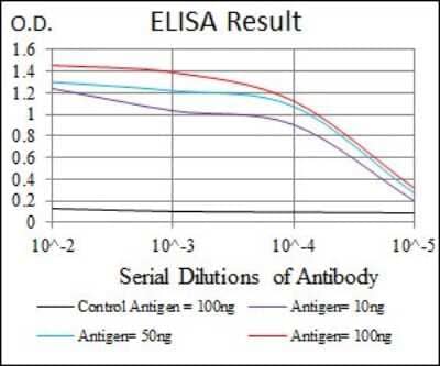 ELISA: PKA C-gamma Antibody (2E4) [NBP2-37487] - Red: Control Antigen (100ng); Purple: Antigen (10ng); Green: Antigen (50ng); Blue: Antigen (100ng);