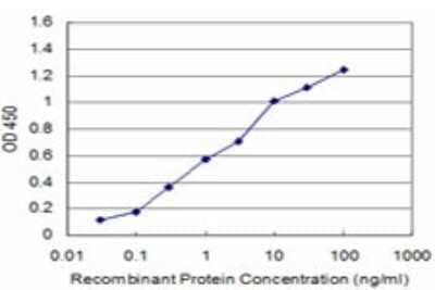 Sandwich ELISA: PKA R2 Antibody (6A9) [H00005576-M01] - Detection limit for recombinant GST tagged PRKAR2A is approximately 0.03ng/ml as a capture antibody.