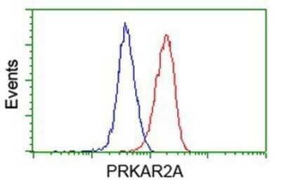 Flow Cytometry: PKA R2 Antibody (OTI1F8) - Azide and BSA Free [NBP2-73428] - Analysis of Hela cells, using anti-PKA R2 antibody, (Red), compared to a nonspecific negative control antibody (Blue).