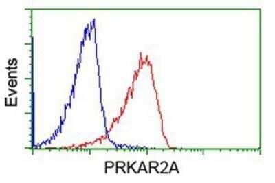 Flow Cytometry: PKA R2 Antibody (OTI1F8) - Azide and BSA Free [NBP2-73428] - Analysis of Jurkat cells, using anti-PKA R2 antibody, (Red), compared to a nonspecific negative control antibody (Blue).