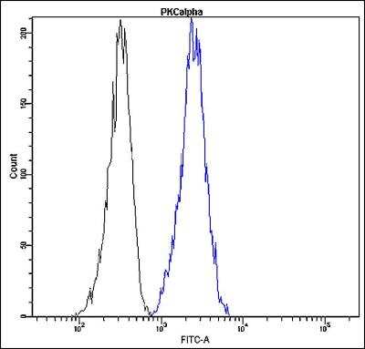 Flow Cytometry: PKC alpha Antibody (D22-G) [FITC] [NBP2-21819] - Profile of peripheral blood lymphocytes. Cells were fixed, permeabilized and stained with anti-human PKCalpha FITC (blue, used 10 ul per test) or with an isotype control (black).
