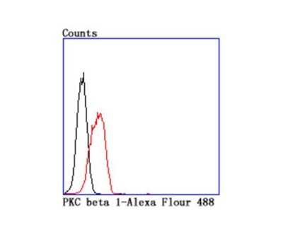 Flow Cytometry: PKC beta Antibody (JM43-26) [NBP2-67062] - Flow cytometric analysis of K562 cells with PKC beta antibody at 1/100 dilution (red) compared with an unlabeled control (cells without incubation with primary antibody; black).