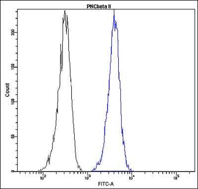 Flow Cytometry: PKC beta 2 Antibody (Q19-V) [FITC] [NBP2-21817] - Profile of peripheral blood lymphocytes. Cells were fixed, permeabilized and stained with anti-human PKC beta 2 FITC (blue, used 10 ul per test) or with an isotype control (black).