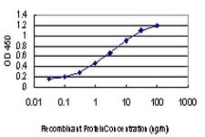 Sandwich ELISA: PKC delta Antibody (6A2) [H00005580-M02] - Detection limit for recombinant GST tagged PRKCD is approximately 0.1ng/ml as a capture antibody.