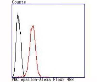 Flow Cytometry: PKC epsilon Antibody (JA38-21) [NBP2-67063] - Flow cytometric analysis of PKC epsilon was done on SH-SY5Y cells. The cells were fixed, permeabilized and stained with the primary antibody (1/50) (red). After incubation of the primary antibody at room temperature for an hour, the cells were stained with a Alexa Fluor 488-conjugated Goat anti-Rabbit IgG Secondary antibody at 1/1000 dilution for 30 minutes. Unlabeled sample was used as a control (cells without incubation with primary antibody; black).