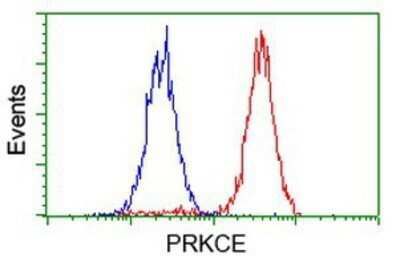 Flow Cytometry: PKC epsilon Antibody (OTI4G8) - Azide and BSA Free [NBP2-73438] - Analysis of Hela cells, using anti-PKC epsilon antibody, (Red), compared to a nonspecific negative control antibody (Blue).