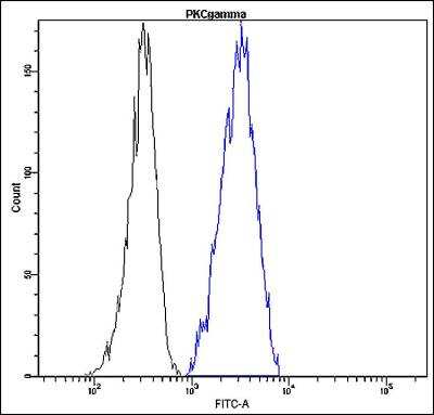 Flow Cytometry: PKC gamma Antibody (K21-L) [FITC] [NBP2-21816] - Profile of peripheral blood lymphocytes. Cells were fixed, permeabilized and stained with anti-human PKC gamma FITC (blue, used 10 ul per test) or with an isotype control (black).