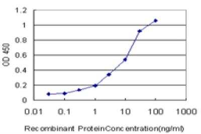 ELISA: PKC iota Antibody (1C10) [H00005584-M04] - Detection limit for recombinant GST tagged PRKCI is approximately 0.3ng/ml as a capture antibody.