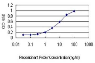 Sandwich ELISA: PKC iota Antibody (3A7) [H00005584-M02] - Detection limit for recombinant GST tagged PRKCI is approximately 0.1ng/ml as a capture antibody.