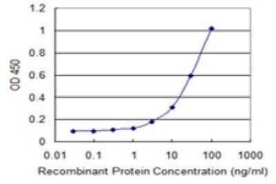 Sandwich ELISA: PKHD1L1 Antibody (1F5) [H00093035-M01] - Detection limit for recombinant GST tagged PKHD1L1 is 1 ng/ml as a capture antibody.