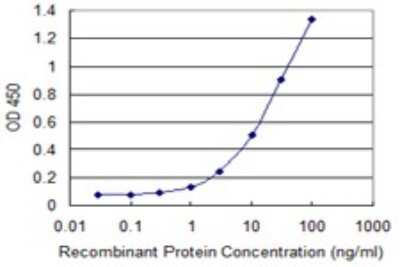 Sandwich ELISA: PKNOX1 Antibody (1F12) [H00005316-M13] - Detection limit for recombinant GST tagged PKNOX1 is 0.3 ng/ml as a capture antibody.