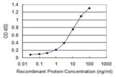 ELISA: PLA2G16/HRASLS3 Antibody (4C4-2A11) [H00011145-M02] - Detection limit for recombinant GST tagged PLA2G16 is 0.1 ng/ml as a capture antibody.