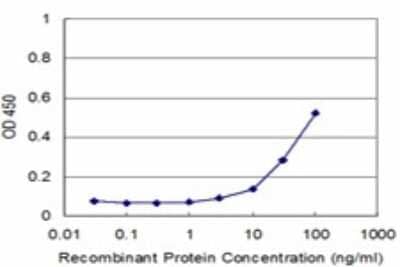 Sandwich ELISA: PLA2G4B Antibody (1G5) [H00008681-M01] - Detection limit for recombinant GST tagged PLA2G4B is approximately 3ng/ml as a capture antibody.