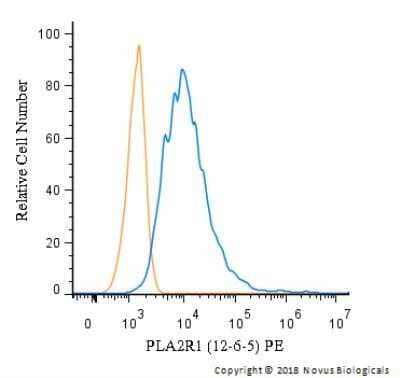 Flow Cytometry: PLA2R1 Antibody (12-6-5) - Azide and BSA Free [NBP2-80912] - A surface stain was performed on HeLa cells with PLA2R1 Antibody (12-6-5) NBP2-50248PE (blue) and a matched isotype control (orange). Cells were incubated in an antibody dilution of 2.5 ug/mL for 20 minutes at room temperature. Both antibodies were directly conjugated to phycoerythrin.