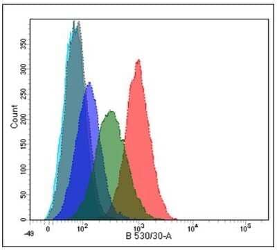 Flow Cytometry: PLA2R1 Antibody (12-6-5) - Azide and BSA Free [NBP2-80912] - Overlay flow cytometry histograms of wild type (dark blue line) and over-expressing PLA2R podocytes (low expressor, green line; high expressor, red line) stained with Ms Cl12-6-5) at dilution 1:200. Negative controls were unlabelled cells (turquoise line) and mouse IgG (grey line). Image from the standard format of this antibody.