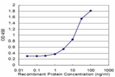 ELISA: PLAP Antibody (1F7) [H00009373-M04] - Detection limit for recombinant GST tagged PLAA is approximately 1ng/ml as a capture antibody.