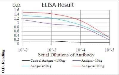 ELISA: PLC-gamma 2 Antibody (2D9E8) [NBP2-52536] - Black line: Control Antigen (100 ng); Purple line: Antigen(10ng); Blue line: Antigen (50 ng); Red line: Antigen (100 ng).