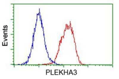 Flow Cytometry PLEKHA3 Antibody (OTI5D11)