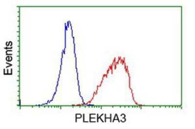 Flow Cytometry PLEKHA3 Antibody (OTI5D11)