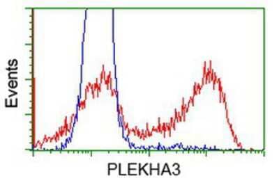 Flow Cytometry PLEKHA3 Antibody (OTI5D11)