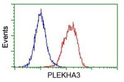 Flow Cytometry PLEKHA3 Antibody (OTI5D11) - Azide and BSA Free