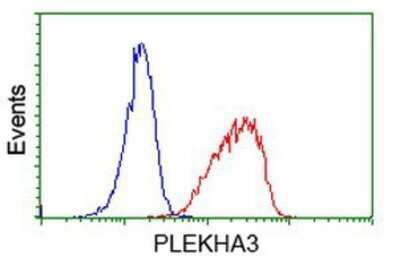 Flow Cytometry PLEKHA3 Antibody (OTI5D11) - Azide and BSA Free