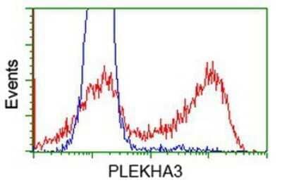 Flow Cytometry PLEKHA3 Antibody (OTI5D11) - Azide and BSA Free