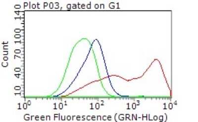 Flow Cytometry: PLK1 Antibody (OTI1D4) [NBP1-48291] - HEK293T cells transfected with either PLK1 Human Tagged ORF Clone overexpress plasmid (Red), compared to an IgG isotype control, (Green) or empty vector control plasmid (Blue) were immunostained by anti-PLK1 antibody , and then analyzed by flow cytometry (1:100).