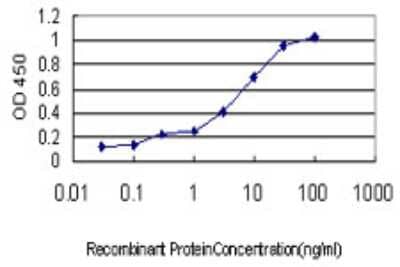 Sandwich ELISA: PLK4 Antibody (1C8) [H00010733-M01] - Detection limit for recombinant GST tagged PLK4 is approximately 0.03ng/ml as a capture antibody.