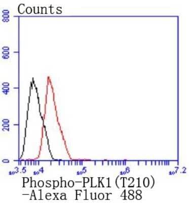 Flow Cytometry: PLKK [p Thr210] Antibody (JJ080-9) [NBP2-67859] - Analysis of MCF-7 cells with Phospho-PLK1(T210) antibody at 1/50 dilution (red) compared with an unlabelled control (cells without incubation with primary antibody; black). Alexa Fluor 488-conjugated goat anti rabbit IgG was used as the secondary antibody