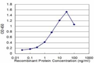 Sandwich ELISA: PLZF Antibody (1F10) [H00007704-M02] - Detection limit for recombinant GST tagged ZBTB16 is approximately 0.03ng/ml as a capture antibody.