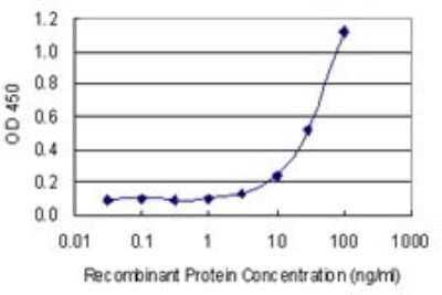 Sandwich ELISA: PMCA4 Antibody (2G8) [H00000493-M07] - Detection limit for recombinant GST tagged ATP2B4 is 1 ng/ml as a capture antibody.