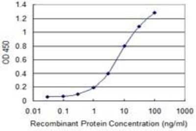 ELISA: PMM2/Phosphomannomutase 2 Antibody (2E9) [H00005373-M01] - PMM2/Phosphomannomutase 2 Antibody (2E9) [H00005373-M01] - Detection limit for recombinant GST tagged PMM2 is 0.1 ng/ml as a capture antibody.